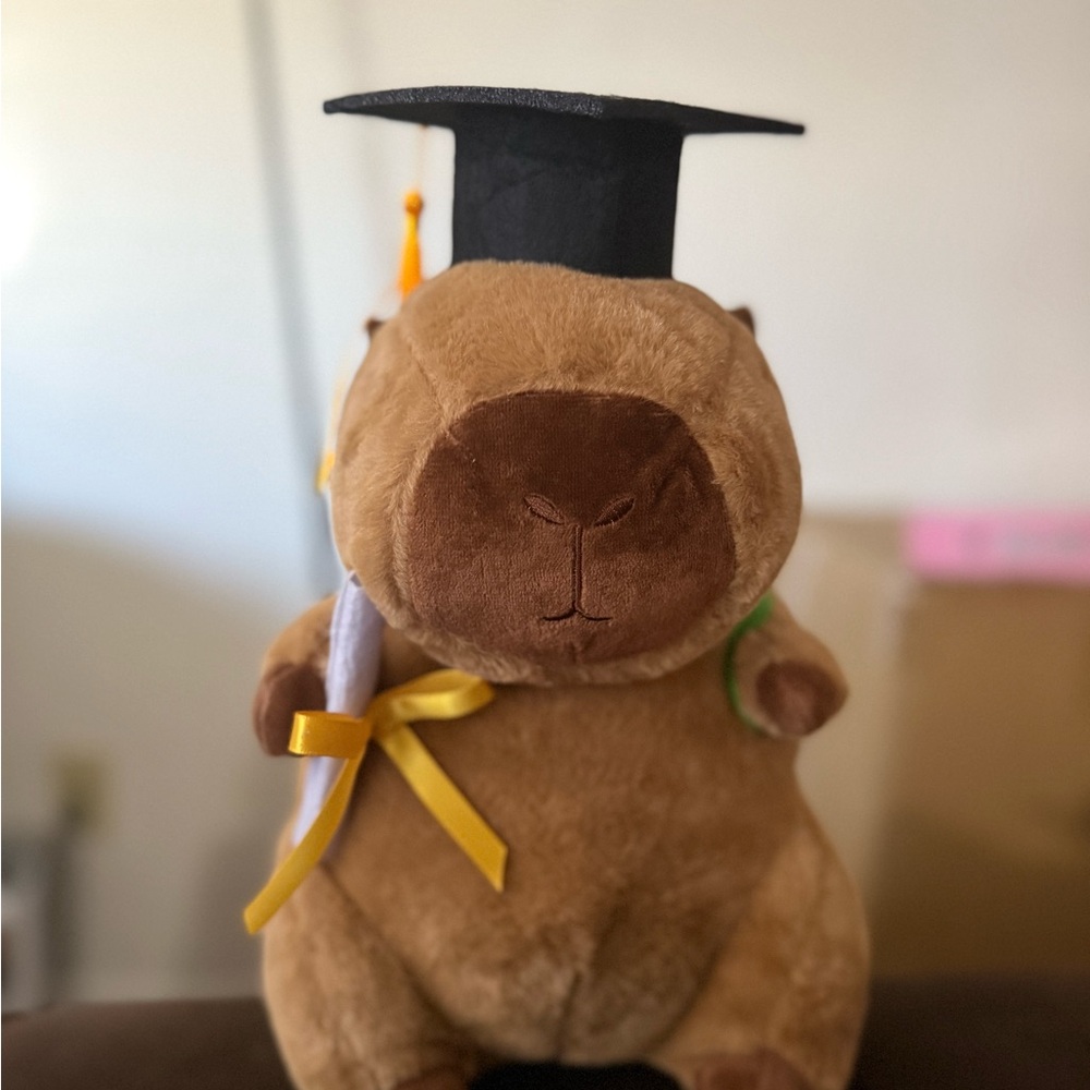 Graduation Capybara Plush Toy 12in- Brown and Green
